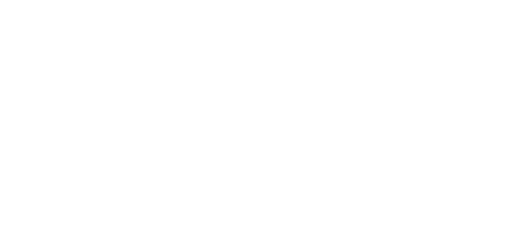 Pretzel Watermark